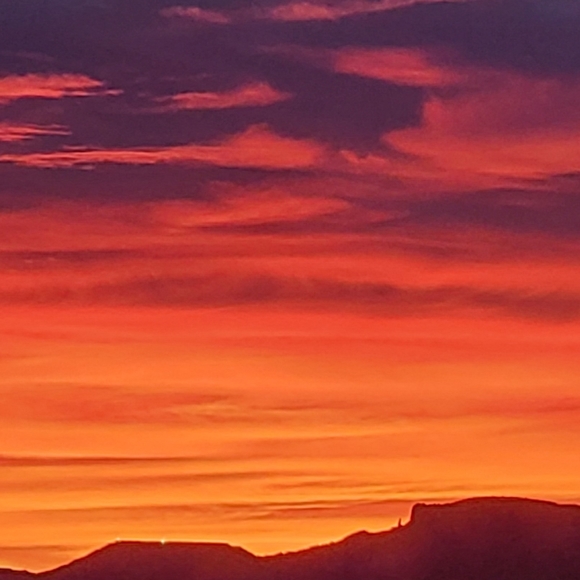 Meet your Posher, Cindy - Picture 1 of 2